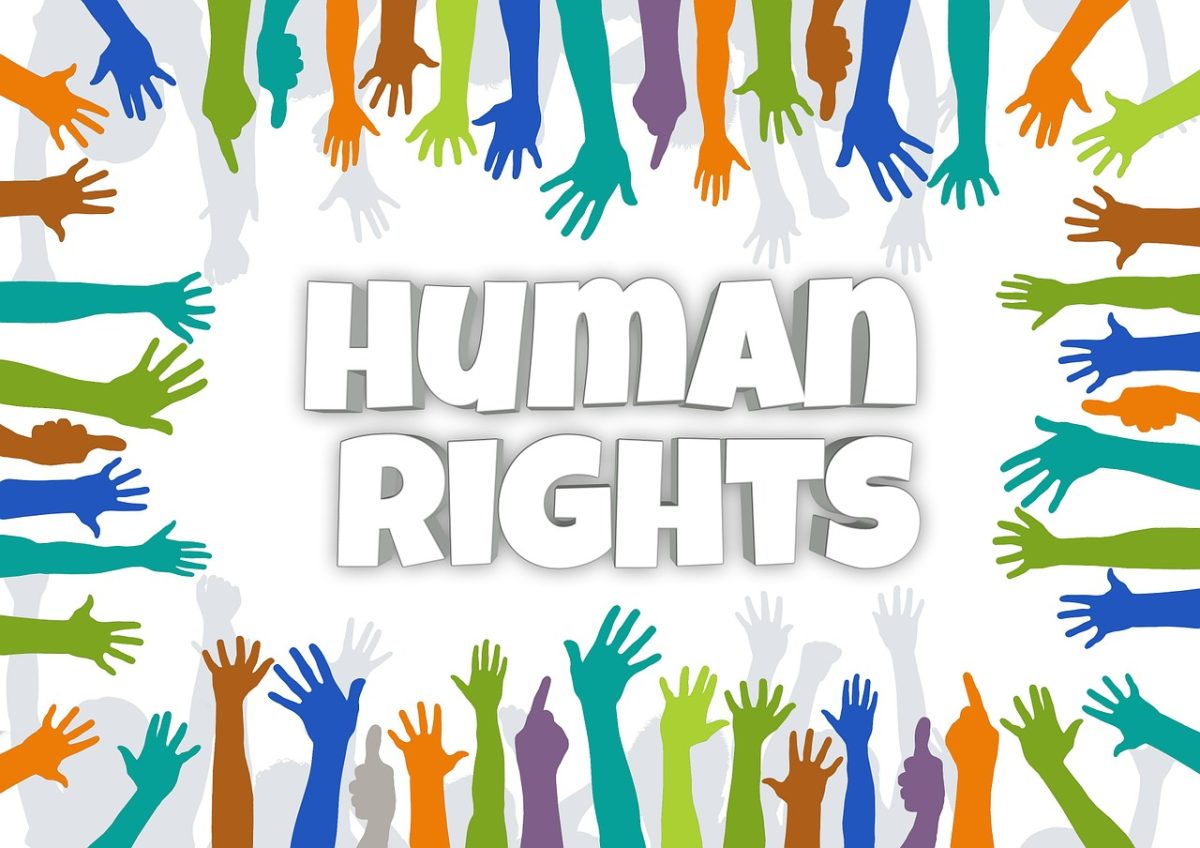Human rights in legal advocacy